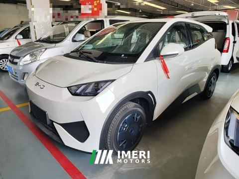 2026 BYD Seagull Smart Drive 305km Vitality Edition