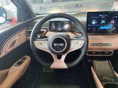 BYD Seagull 2025 Smart Drive 305km Vitality Edition - ფოტო 11
