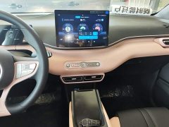 BYD Seagull 2025 Smart Drive 305km Vitality Edition - ფოტო 13