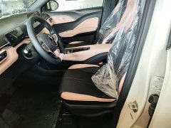 BYD Seagull 2025 Smart Drive 305km Vitality Edition - ფოტო 15