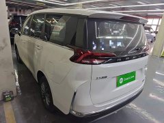 Maxus G50 Plug-in Hybrid Flagship Edition - ფოტო 5