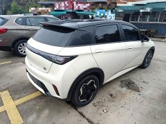 BYD Dolphin 405km Fashion Edition - ფოტო 7