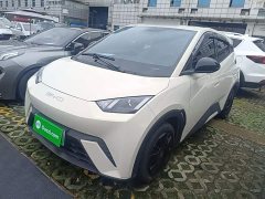 BYD Seagull 2023 Vitality Edition - ფოტო 1