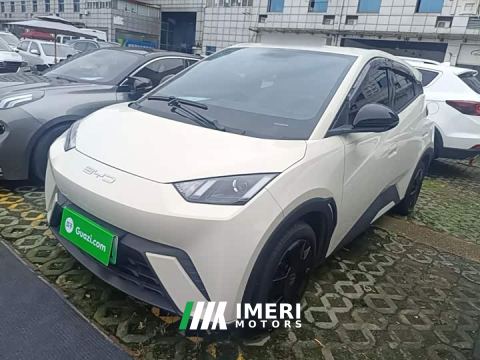 2024 BYD Seagull Vitality Edition - ავტომობილი ჩინეთიდან