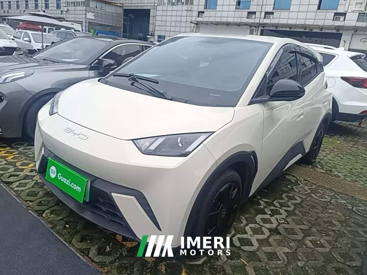 BYD Seagull Vitality Edition
