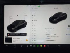 Tesla Model Y Standard Range RWD - ფოტო 12