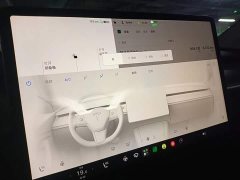 Tesla Model Y Standard Range RWD - ფოტო 13