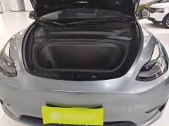Tesla Model Y Rear-Wheel Drive - ფოტო 20