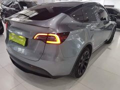 Tesla Model Y Rear-Wheel Drive - ფოტო 7