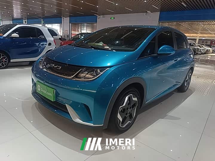 BYD Dolphin 405km Freedom Edition - ავტომობილი ჩინეთიდან