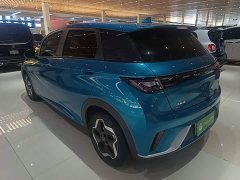 BYD Dolphin 405km Freedom Edition - ფოტო 5
