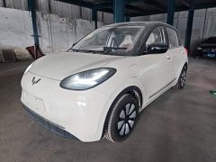Wuling Binguo 2025 333km Joy Edition - ფოტო 1