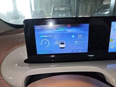 Wuling Binguo 2025 333km Joy Edition - ფოტო 12