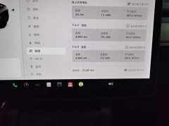 Tesla Model Y Standard Range RWD - ფოტო 12