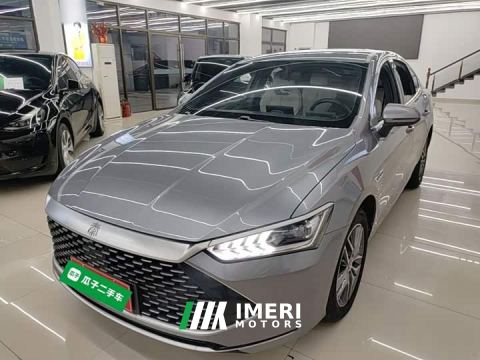 2024 BYD Qin PLUS Champion Edition DM-i 120KM Leading