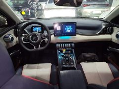 BYD Yuan Plus 430KM Premium Edition - ფოტო 10