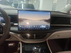 Denza BYD Denza D9 DM-i 980 Four-Wheel Drive Premium - ფოტო 13