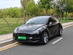 Tesla Model Y Long Range All-Wheel Drive 3D7 - ფოტო 1