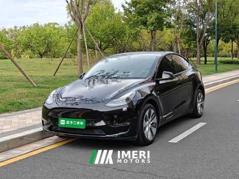 2021 Tesla Model Y Long Range All-Wheel Drive 3D7 - ავტომობილი ჩინეთიდან