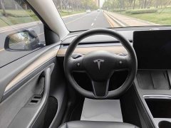 Tesla Model Y Long Range All-Wheel Drive 3D7 - ფოტო 11