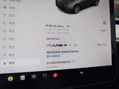 Tesla Model Y Long Range All-Wheel Drive 3D7 - ფოტო 12