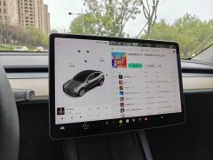 Tesla Model Y Long Range All-Wheel Drive 3D7 - ფოტო 13
