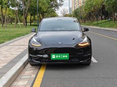 Tesla Model Y Long Range All-Wheel Drive 3D7 - ფოტო 3