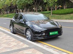 Tesla Model Y Long Range All-Wheel Drive 3D7 - ფოტო 4