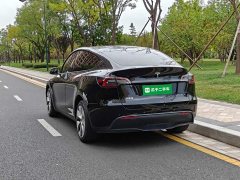 Tesla Model Y Long Range All-Wheel Drive 3D7 - ფოტო 5