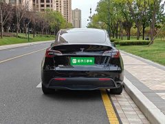 Tesla Model Y Long Range All-Wheel Drive 3D7 - ფოტო 6