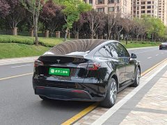 Tesla Model Y Long Range All-Wheel Drive 3D7 - ფოტო 7