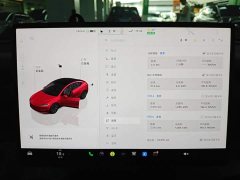 Tesla Model 3 2023 Rear-Wheel Drive - ფოტო 12