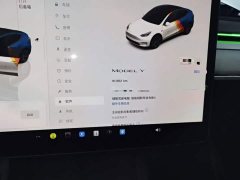Tesla Model Y Rear-Wheel Drive - ფოტო 12