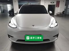 Tesla Model Y Rear-Wheel Drive - ფოტო 3