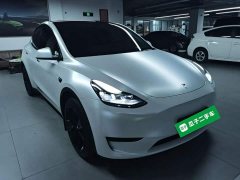 Tesla Model Y Rear-Wheel Drive - ფოტო 4