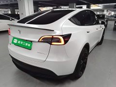Tesla Model Y Rear-Wheel Drive - ფოტო 7