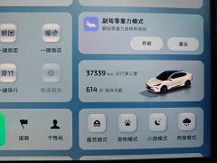 IM Motors Zhiji LS6 Lingxi Intelligent Driving Edition - ფოტო 12