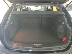 Nissan Qashqai 2.0L CVT Luxury - ფოტო 19