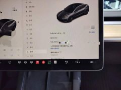 Tesla Model 3 Rear-Wheel Drive - ფოტო 12