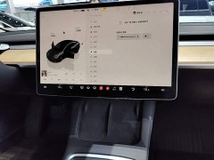 Tesla Model 3 Rear-Wheel Drive - ფოტო 13