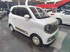 FAW Besturn Xiaoma 222km Colorful Edition - ფოტო 4