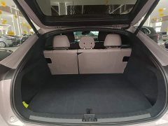 Nio Lerado L60 60kWh Rear-Wheel Drive - ფოტო 19