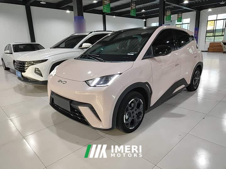 BYD Seagull 2025 305km Freedom Edition - ავტომობილი ჩინეთიდან