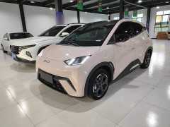 BYD Seagull 2025 305km Freedom Edition - ფოტო 1