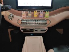 BYD Seagull 2025 305km Freedom Edition - ფოტო 14