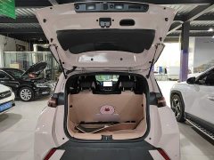 BYD Seagull 2025 305km Freedom Edition - ფოტო 19