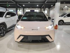 BYD Seagull 2025 305km Freedom Edition - ფოტო 3