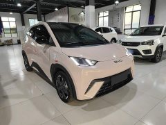 BYD Seagull 2025 305km Freedom Edition - ფოტო 4