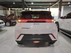 BYD Seagull 2025 305km Freedom Edition - ფოტო 6