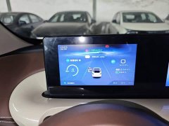 Wuling Binguo 2025 333km Joy Edition - ფოტო 12